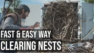 Fast and Easy Way for Clearing the Infestation Nests - Days Gone