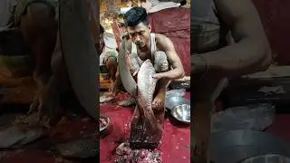 Perfect Rohu Fish Cutting &mdash; Amazing Knife Skills! #fishcutting_skills