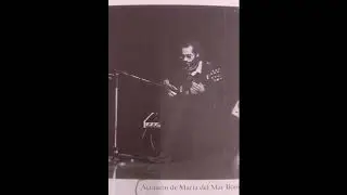 1980: Terrassa era una fiesta