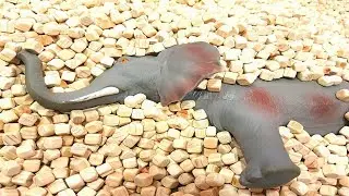 Learn Colors With Wild Animals and Zoo Animals in Blue Water  Animal Toys For Kids