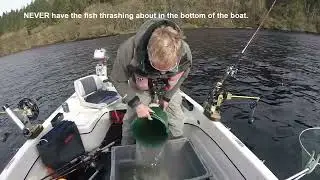 How to Handle Ferox Trout during Catch and Release.