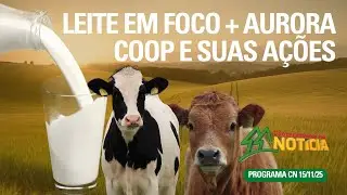 Aurora Coop e suas a&ccedil;&otilde;es e Leite em Foco