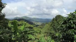 Coffee Partnership Environmental Pillar