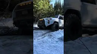 Testing the Durability of Toyota's 4Runner Off-Road 👀