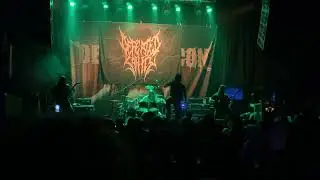 A Patriarchy Perverse by Defeated Sanity in Denver, CO 11/8/25