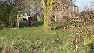 TOTAL K9 FAMILY PROTECTION DOGS