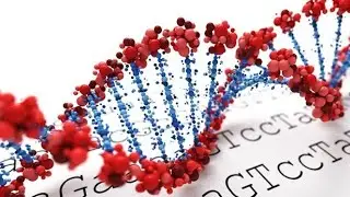 History of genetics