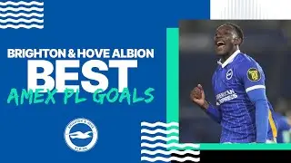 Best Premier League Goals at the Amex Stadium