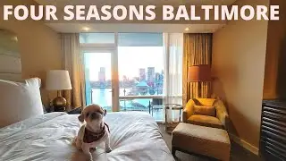 Four Seasons Baltimore Review: Harbor Views Are Mindblowing 😍🙌