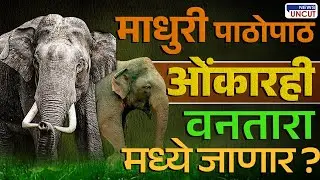 ओंकार हत्ती&rsquo; चा Maharashtra Goa सीमाभागात धुमाकूळ, वनविभागाच्या ताब्यात का नाही? | Omkar Elephant