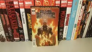 Black Panther Vol 7 Issue 5 Overview