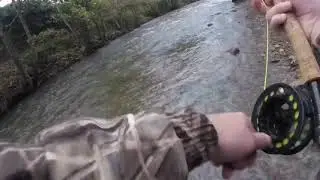 Last day of the season. Fly fishing the river ehen.