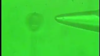 High frequency microsphere pedulum actuation