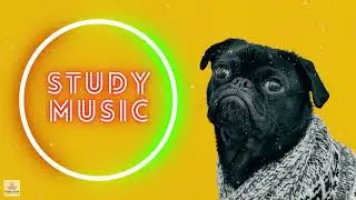 10 Hours  Study Music for Concentration Focus and Memory Improvement Alpha Waves | Best Study Music