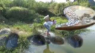 Pearl hunter / Wild oysters are hidden deep in the silt, the discovery process of pearls