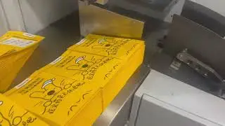 Square bottom paper bag machine with auto stacker 