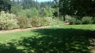 Bees love to propolize hive