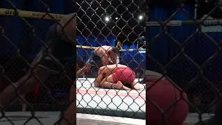Manoel Sousa with the NASTY ground strikes 😤 #dwcs