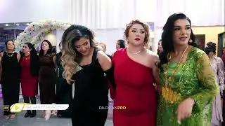 Klamadin neco  / Yunus &  Perixan / Part03 / #DilocanPro #Hochzeit #Wedding #Kurdish #Dilocan
