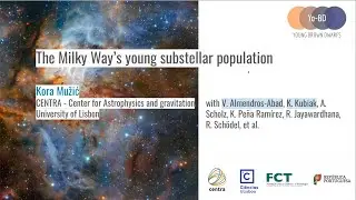 The Milky Way's young substellar populationPrimary tabs