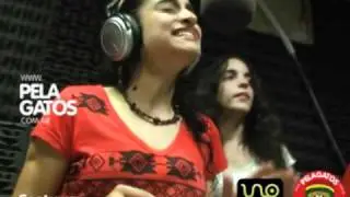 Contravos - Reggae en PelaGatos - Palabras