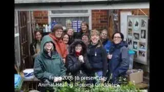 Healing Animals Organisation 10th Year Anniversary