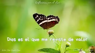 273 Dios es el que me reviste de valor