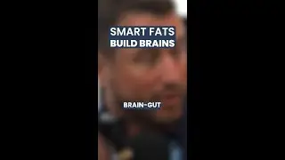Smart Fats Build Brains #shorts
