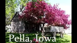 Pella Tulip Time 2019 #countrymamamusings #tulip #pella #iowa