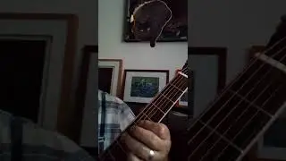 Mexx/P. Mlynarski. Fragment #guitar #classicguitar #shorts