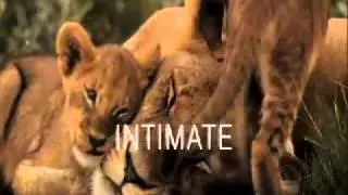 Discover Botswana
