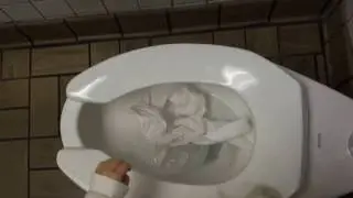 Waffle House Toilets in Hagerstown Maryland