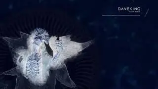 DAVEKING - Close Range (Original Mix)
