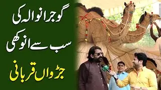 Gujranwala ki sab se anokhi jurrwa qurbani