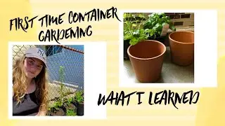 First Container Garden!