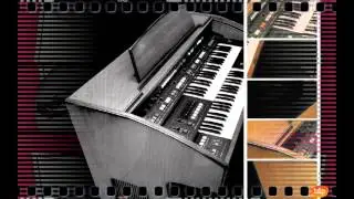 Bernard Drukker Plays Godwin (1980)