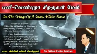 Daily Message | Day 1121 | பனி-வெண்புறா சிறகுகள் மேல் | Bro. William Marrion Branham