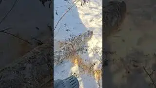 Аккумуляторная цепная пила yuansen