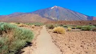 Beautiful Relaxing Music 