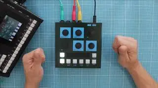 OTO Bim краткий обзор/демо