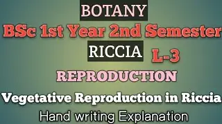 Reproduction in Riccia/Vegetative Reproduction in Riccia/Riccia/BSc.1st year/Botany