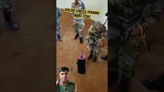 special forces training || snake toxic #armytraining #specialforce training #shorts