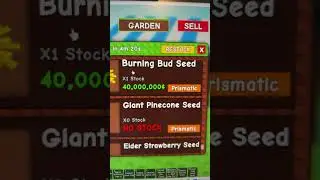 ￼ Burning bud seeded in stock  right now #shorts ￼￼