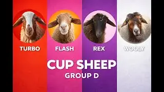 INSANE Sheep Race! 🐑🔥 | Group D Results &ndash; Turbo vs Flash vs Rex vs Wooly