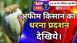 अफीम किसानों का बड़ा धरना प्रदशन#trending#mp7news#afim#ofim##किसानआंदोलन#प्रदशन#neemuch_news#topnwews