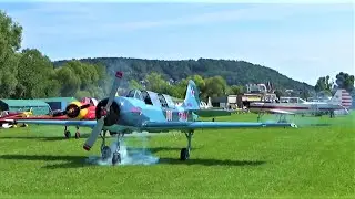 Yak-52s at Gelnhausen Fly In 2021 Dutch Thunder Yaks Yak52 start take off formation break landings