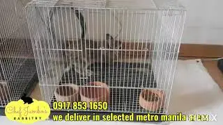Recommended ready made cage for small pets galvanized, non collapsible