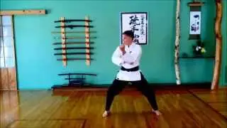 NaiHanChi Shodan 3 Levels