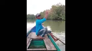 spot lempar tarik barramundi...!!