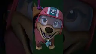 The Pups need to get back to the dance competition! 💃🏻🕺🏻 #PawPatrol #Shorts